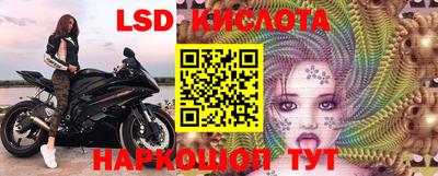 сатива Бийск