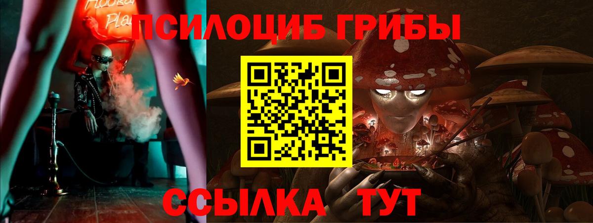 Галлюциногенные грибы Cubensis  Галлюциногенные грибы GOLDEN TEACHER  Вичуга  Вход с VPN 